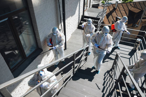 Best Airborne Mold Testing  in Fort Mill, SC