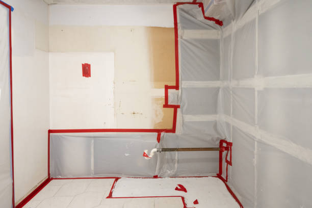Best Basement Mold Removal  in Fort Mill, SC