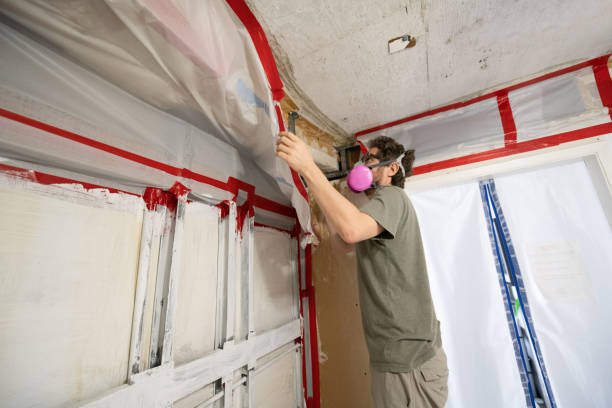 Best Emergency Mold Remediation  in Fort Mill, SC