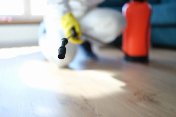  Fort Mill, SC Mold Removal Pros