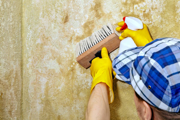 Best HVAC Mold Inspection and Cleaning  in Fort Mill, SC