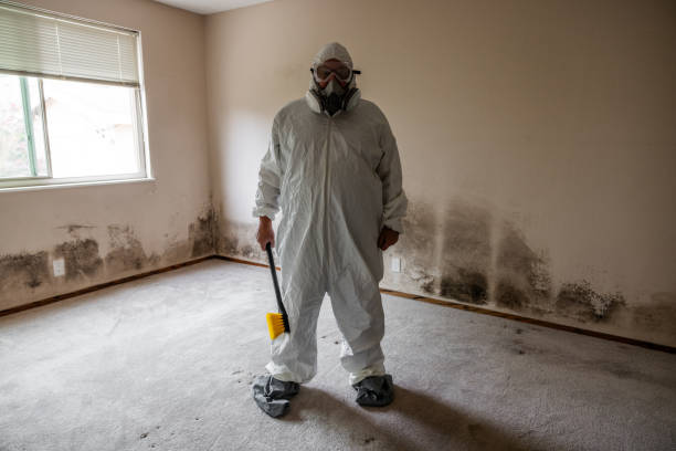 Environmental Consulting for Mold Prevention in Fort Mill, SC